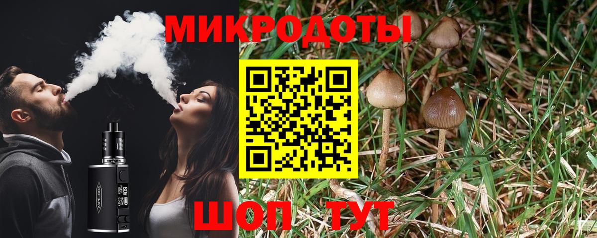 Псилоцибиновые грибы мухоморы Алексеевка