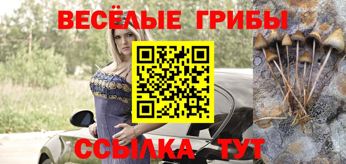 Псилоцибиновые грибы мицелий  Псилоцибиновые грибы Psilocybine cubensis  Алексеевка  Вход с VPN 